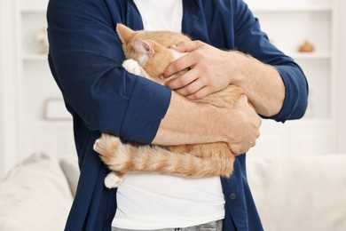 Photo of Man petting cute ginger cat at home, closeup