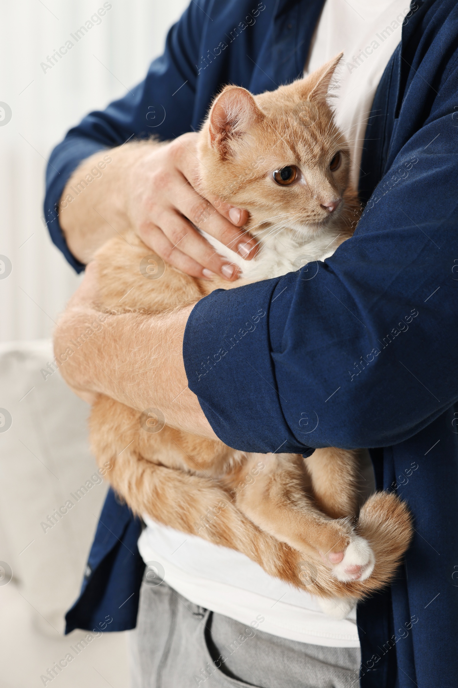 Photo of Man petting cute ginger cat at home, closeup