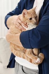 Man petting cute ginger cat at home, closeup