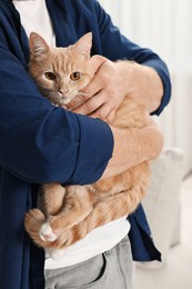 Photo of Man petting cute ginger cat at home, closeup