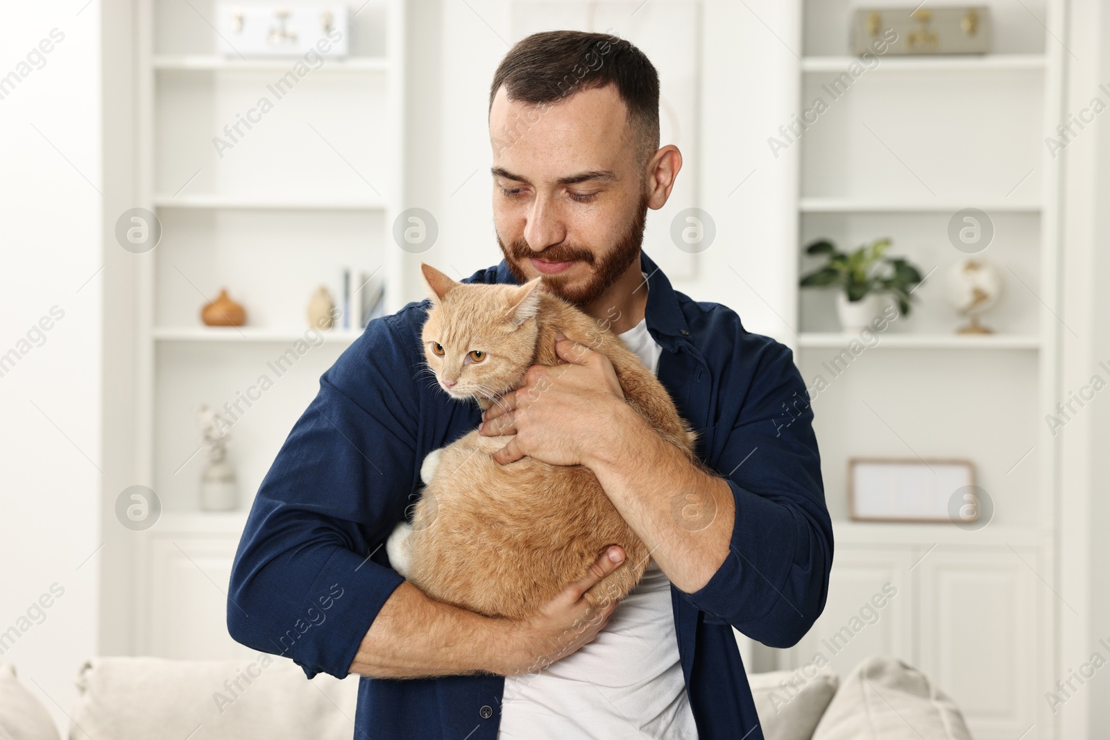 Photo of Man petting cute ginger cat at home