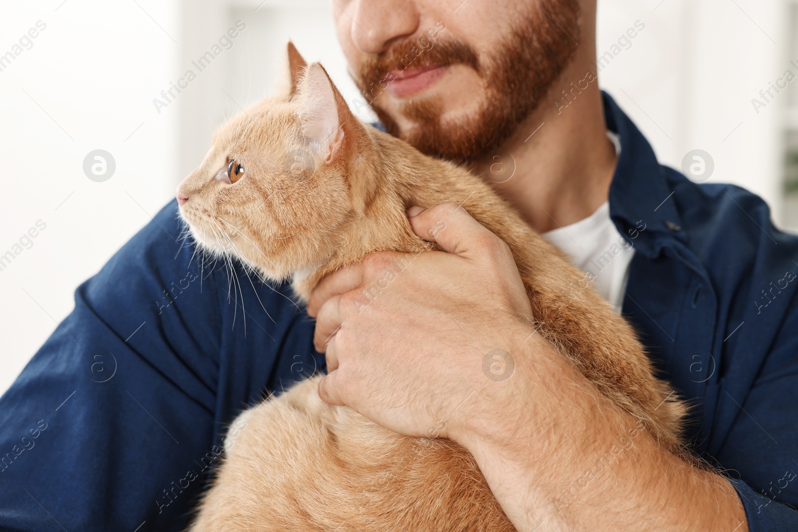 Photo of Man petting cute ginger cat at home, closeup