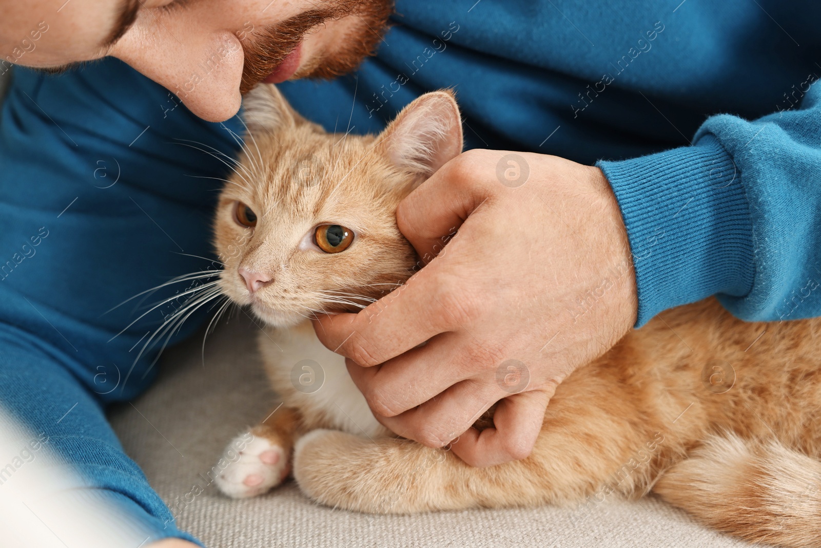 Photo of Man petting cute ginger cat on sofa at home, closeup