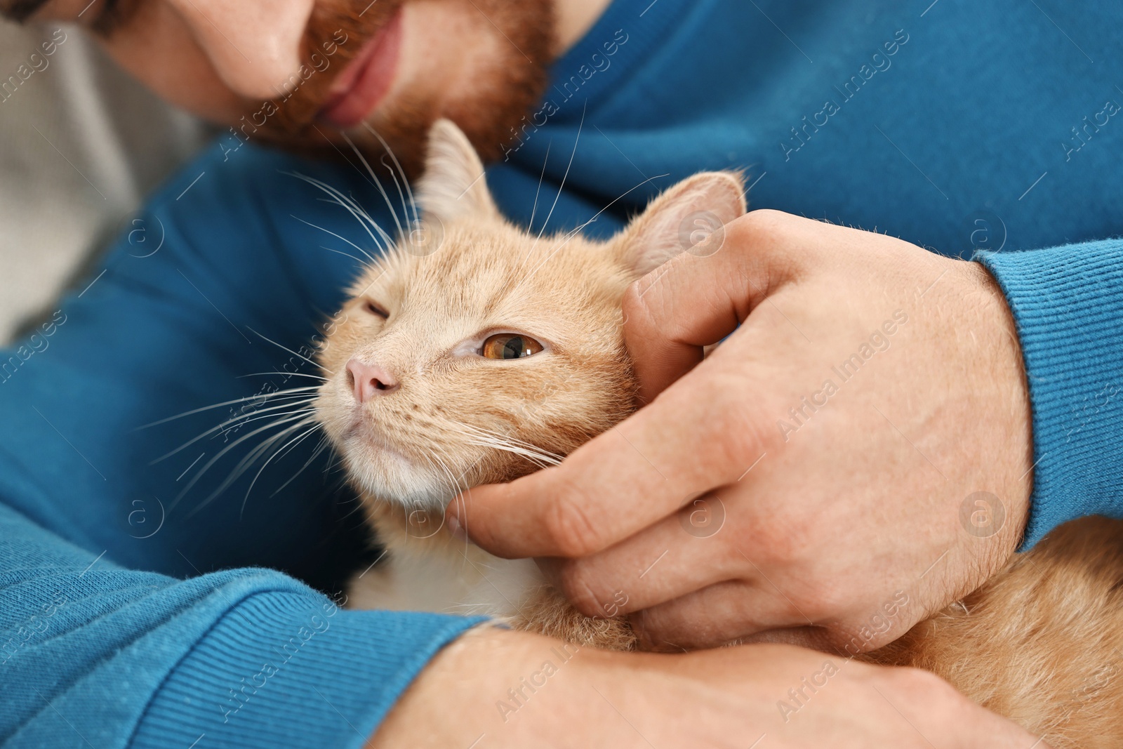 Photo of Man petting cute ginger cat on sofa at home, closeup