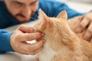 Man petting cute ginger cat on sofa at home, selective focus