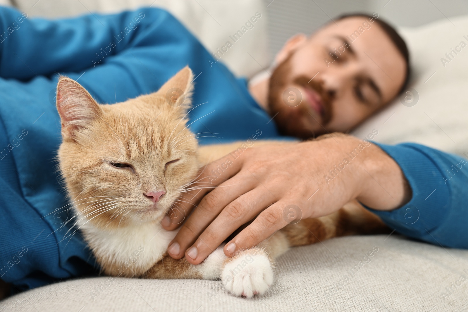 Photo of Man petting cute ginger cat on sofa at home, selective focus