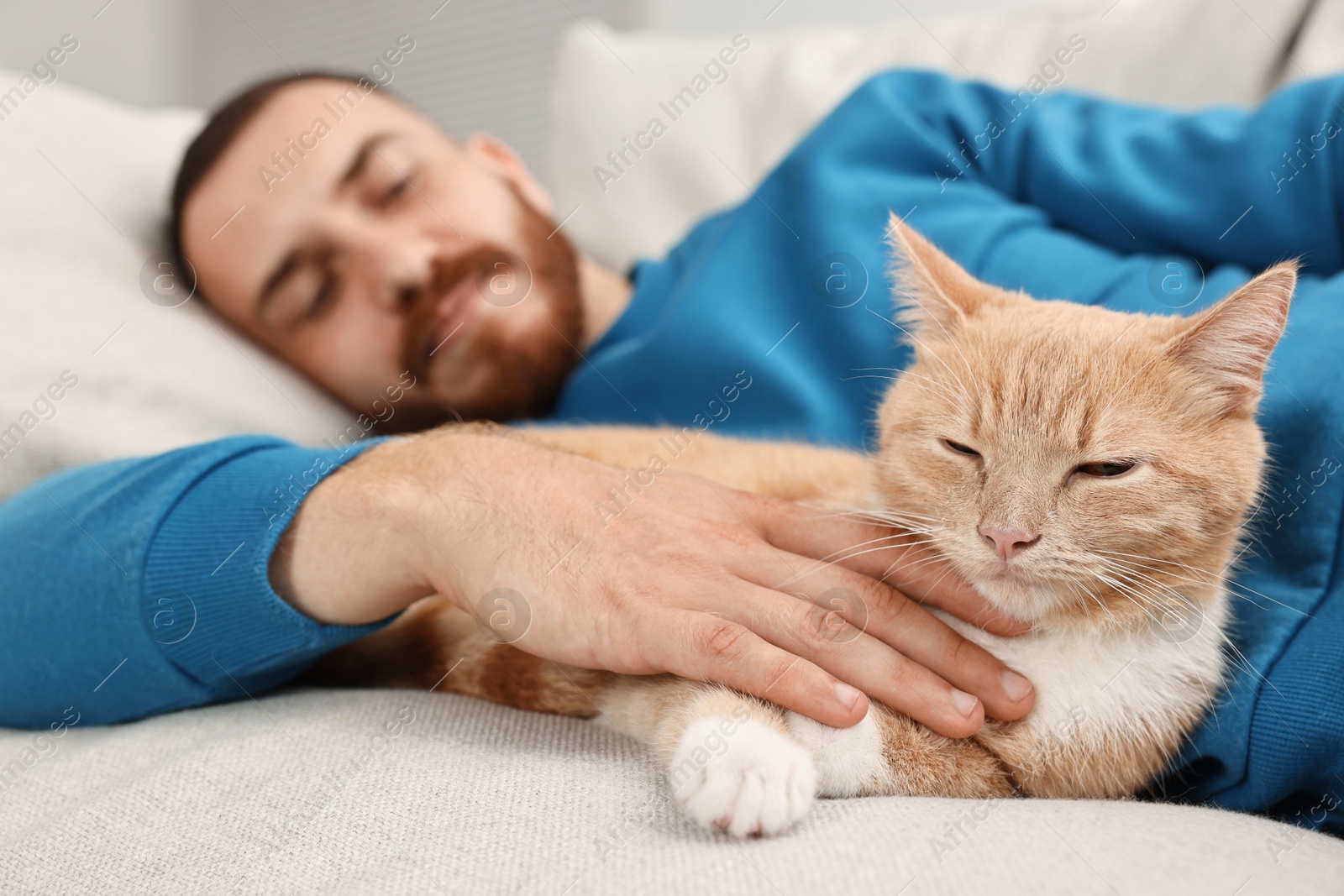 Photo of Man petting cute ginger cat on sofa at home, selective focus