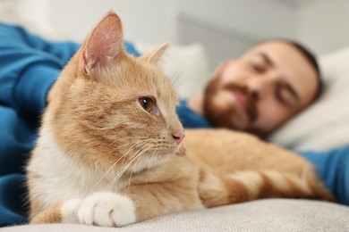 Photo of Man petting cute ginger cat on sofa at home, selective focus