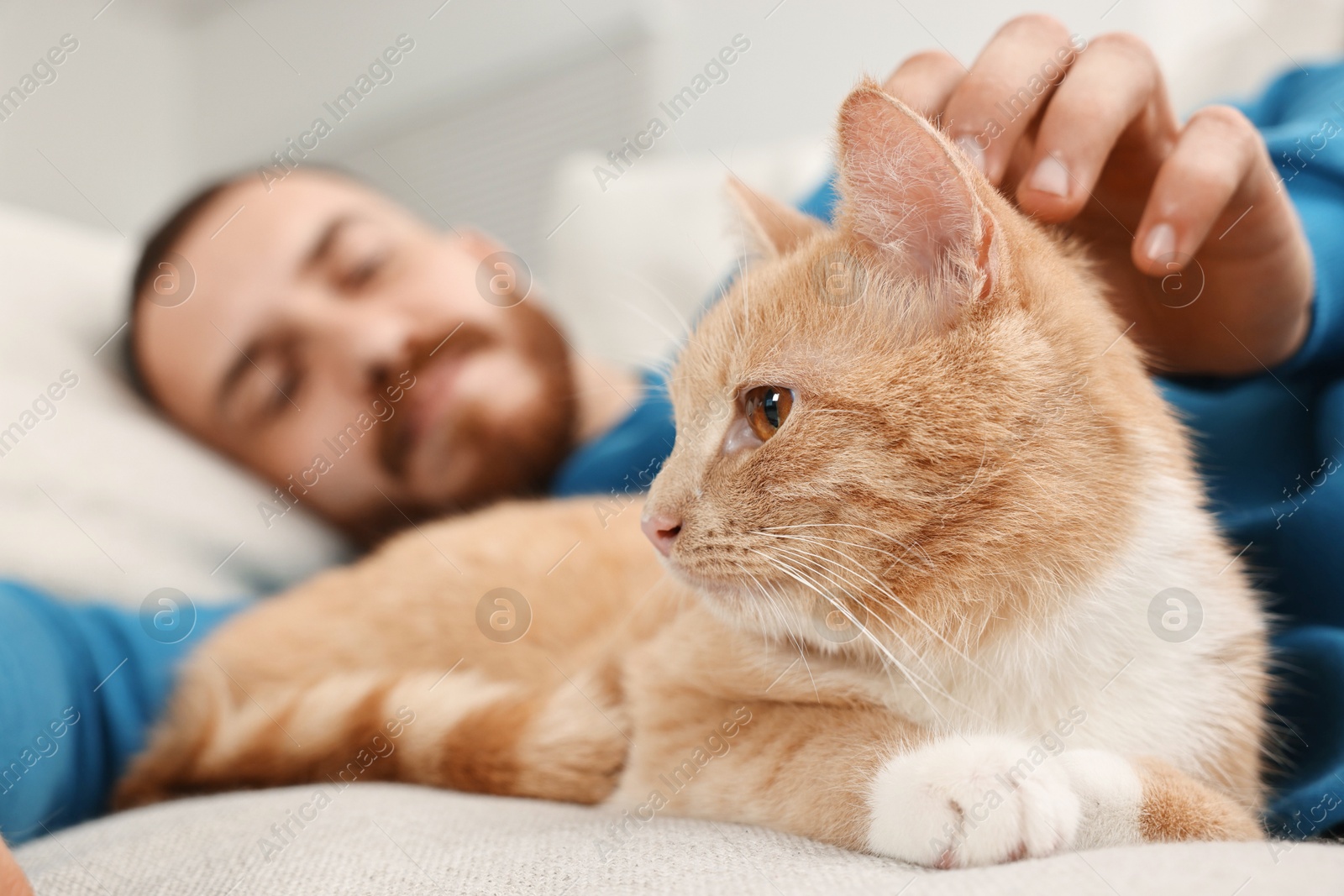 Photo of Man petting cute ginger cat on sofa at home, selective focus