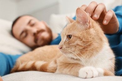 Photo of Man petting cute ginger cat on sofa at home, selective focus