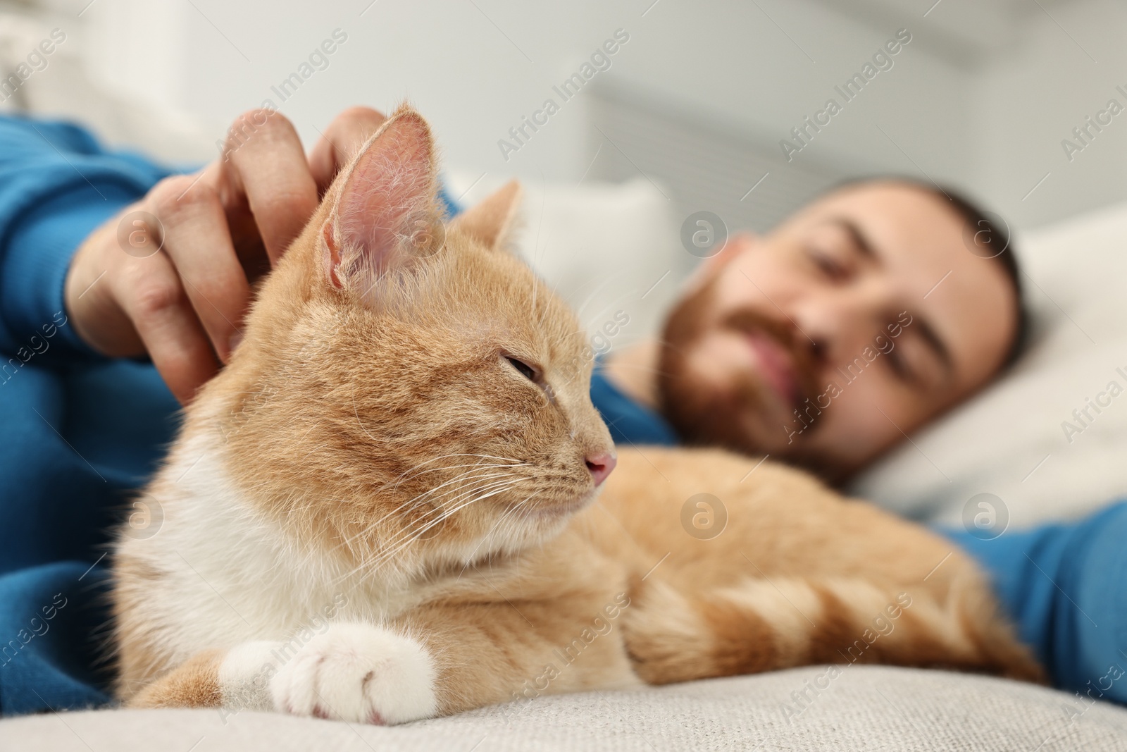 Photo of Man petting cute ginger cat on sofa at home, selective focus