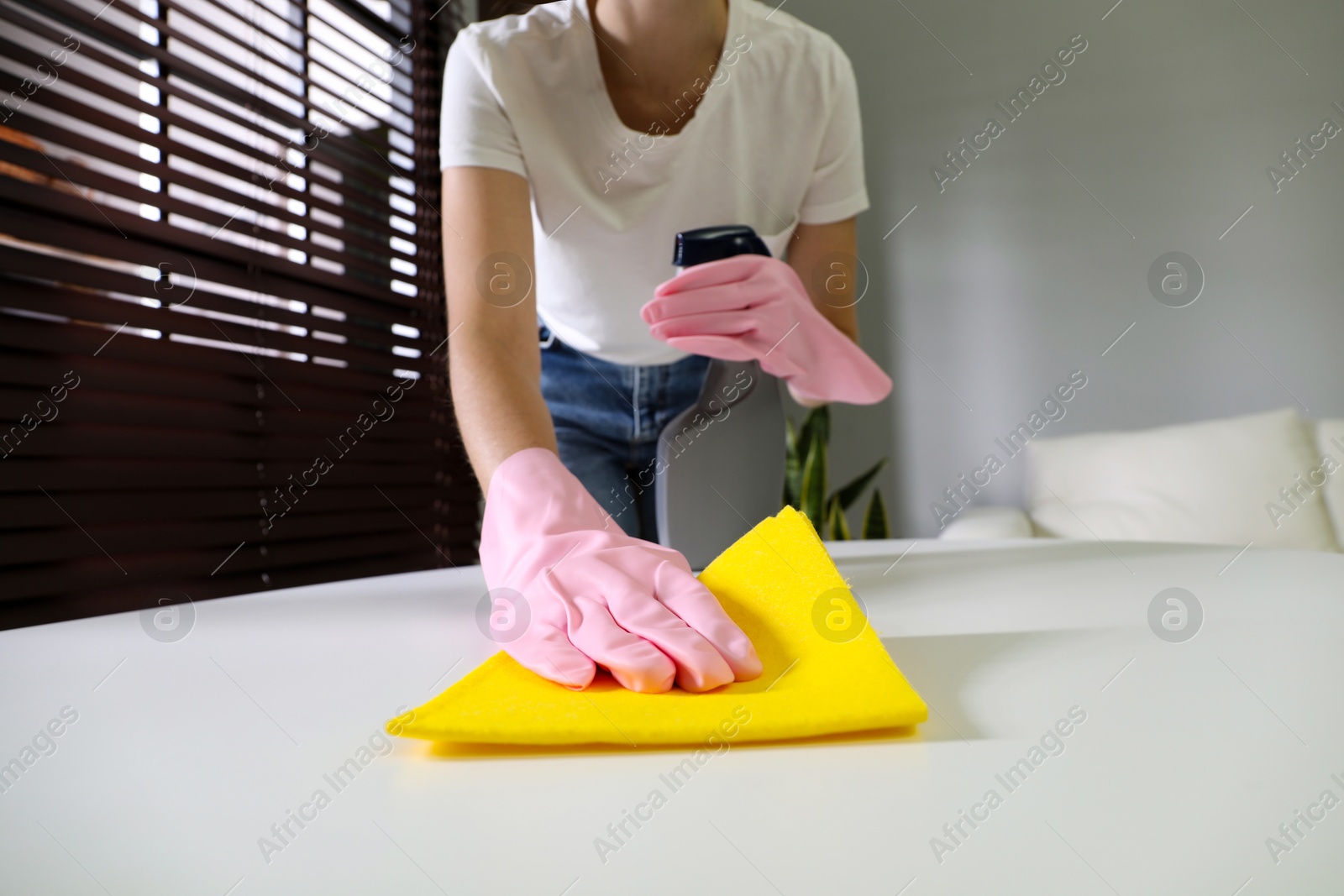 Photo of Young woman cleaning table with rag and spray in office, closeup