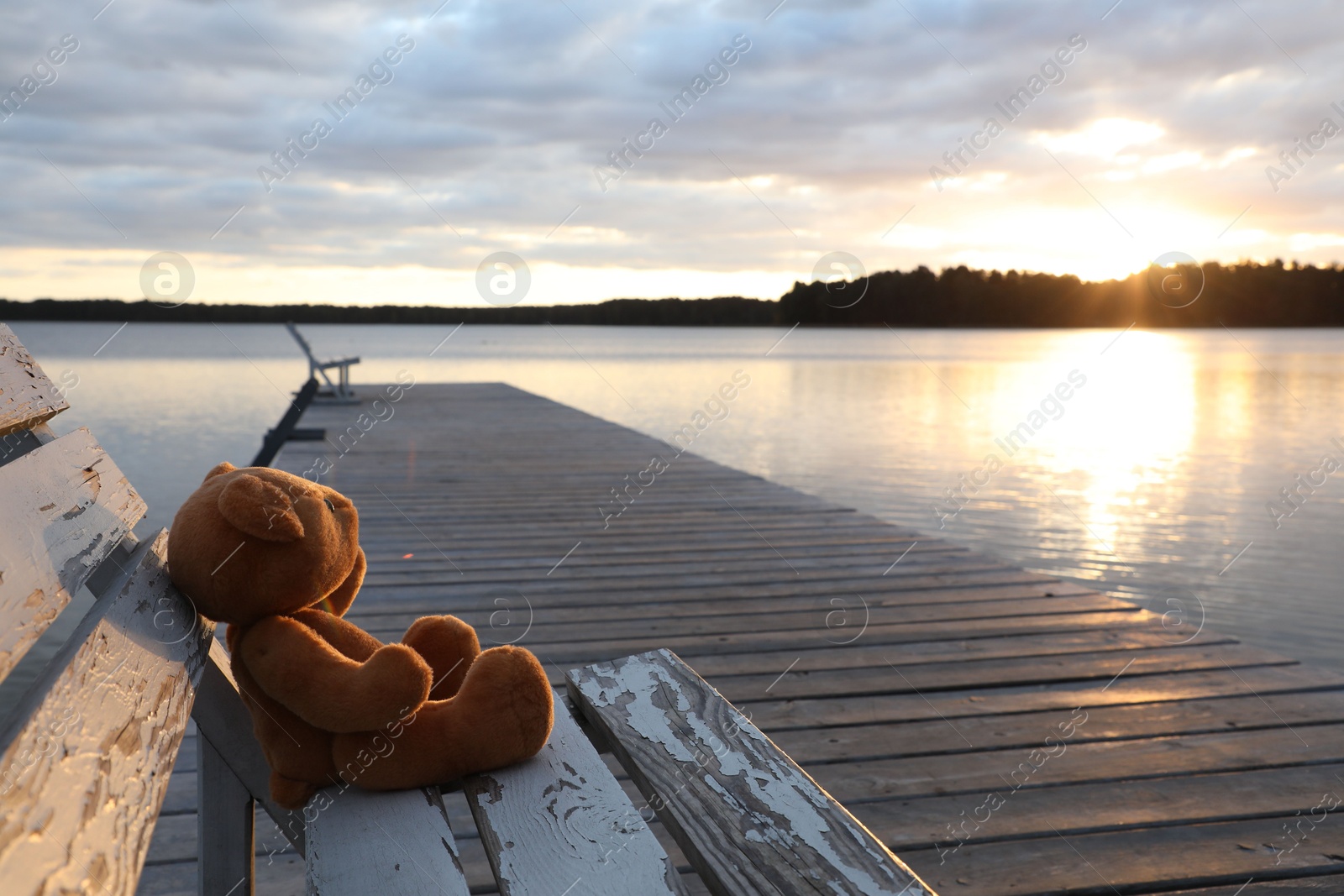 Photo of Lonely teddy bear on bench near river