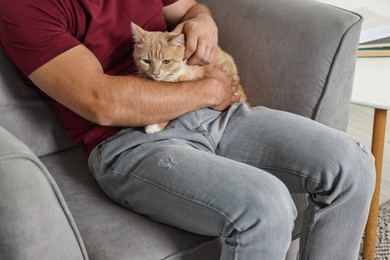 Man petting cute ginger cat on armchair at home, closeup