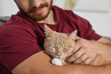 Man petting cute ginger cat on armchair at home, closeup