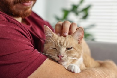 Photo of Man petting cute ginger cat on armchair at home, closeup