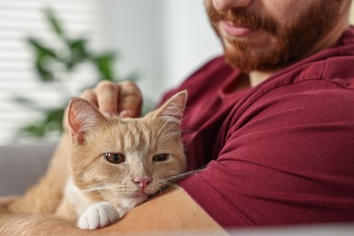 Man petting cute ginger cat on armchair at home, closeup