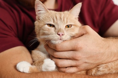 Man petting cute ginger cat on armchair at home, closeup