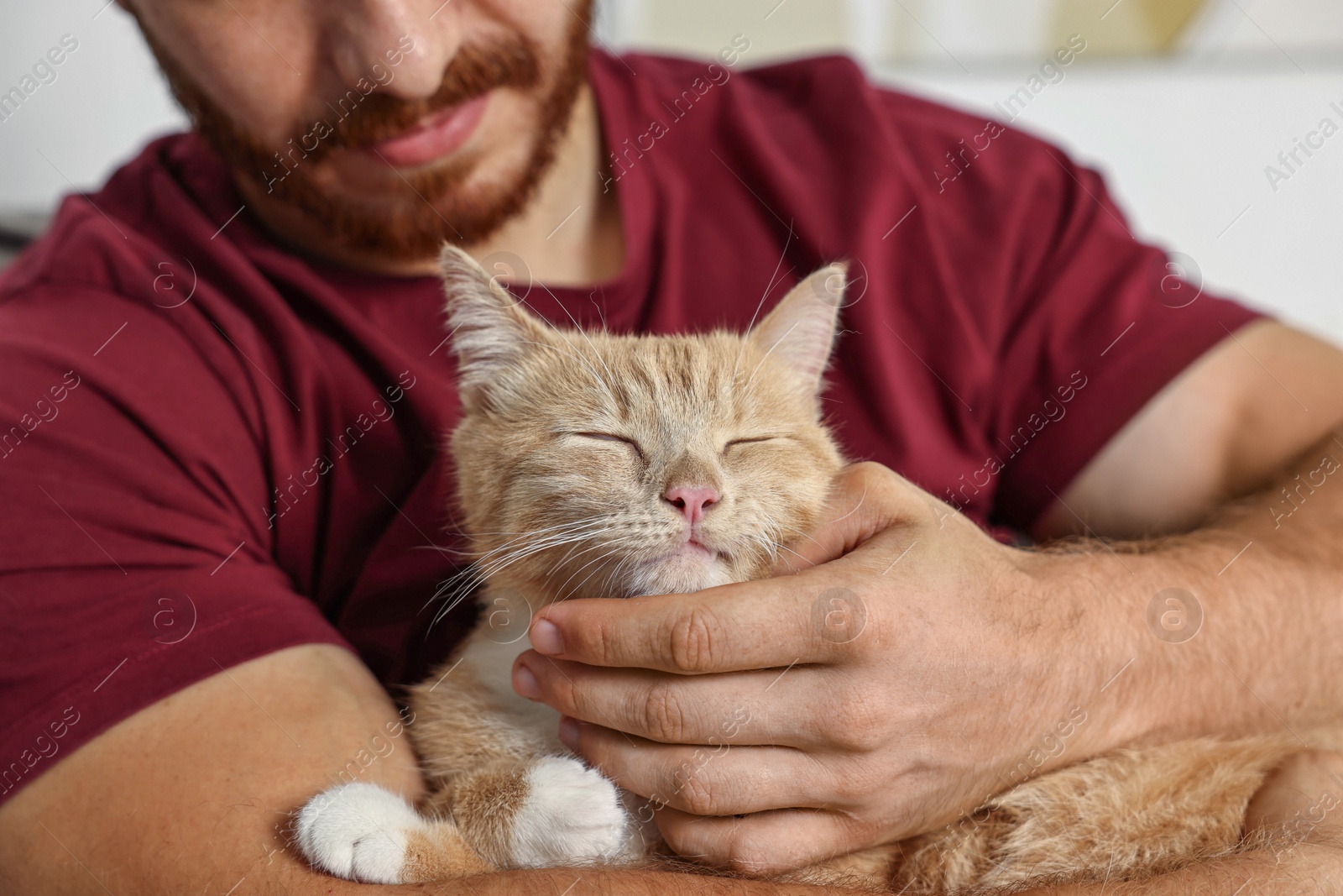 Photo of Man petting cute ginger cat on armchair at home, closeup