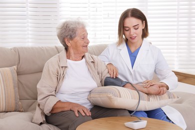 Doctor measuring patient's blood pressure on sofa indoors