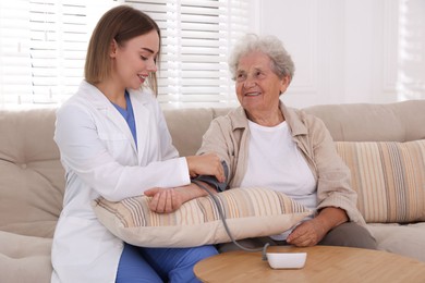 Doctor measuring patient's blood pressure on sofa indoors