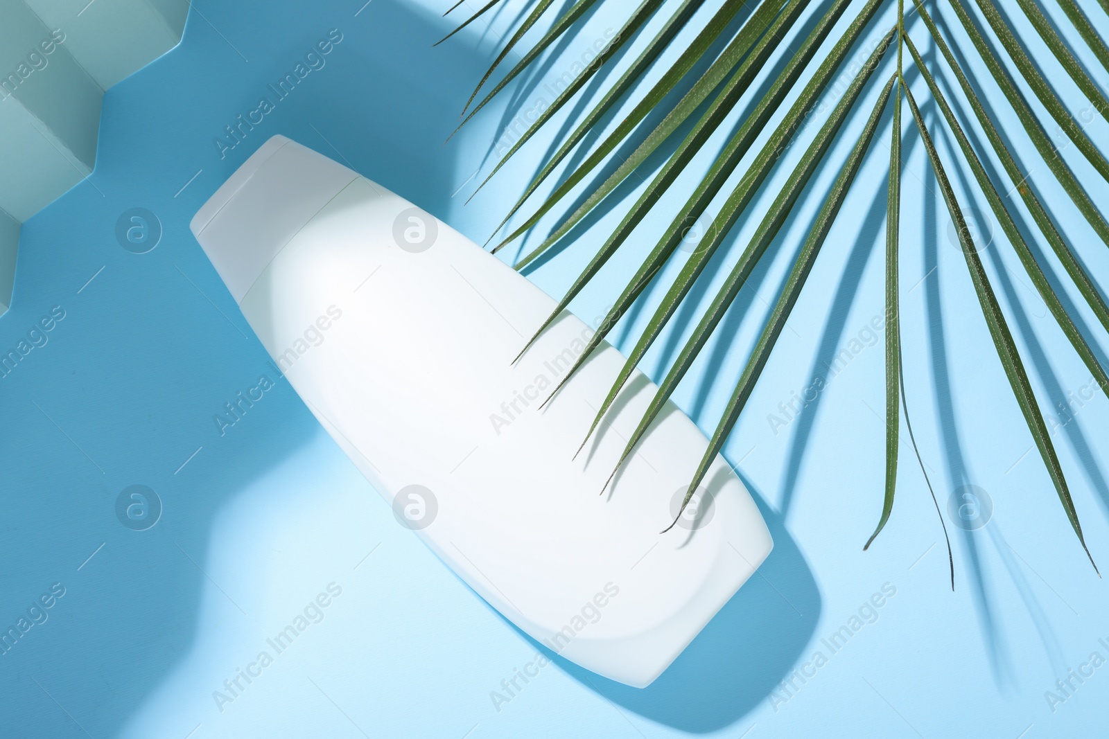 Photo of Shampoo in bottle and palm leaf on light blue background, top view