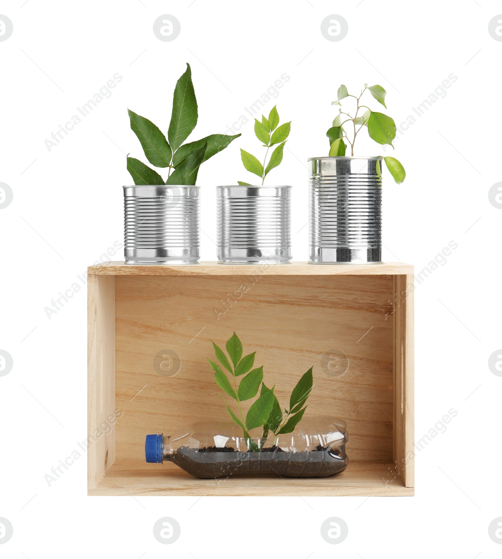 Photo of Recycling concept. Wooden crate with plants in bottles and cans isolated on white