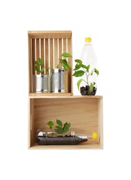 Photo of Recycling concept. Wooden crates with plants in bottles and cans isolated on white