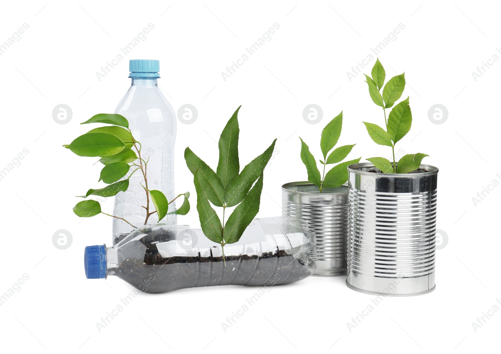 Photo of Recycling concept. Plastic bottles and cans with plants isolated on white