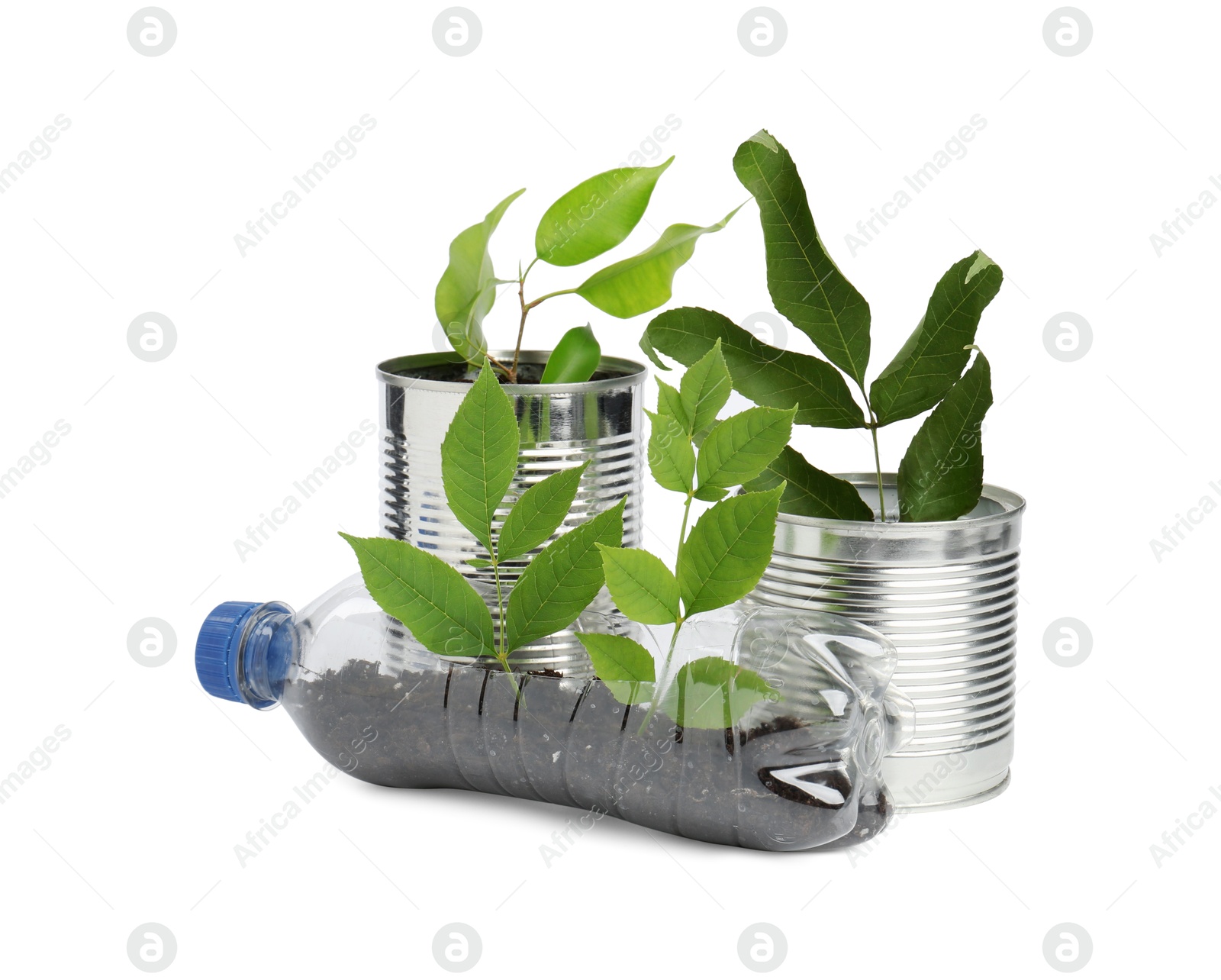 Photo of Recycling concept. Plastic bottle and cans with plants isolated on white