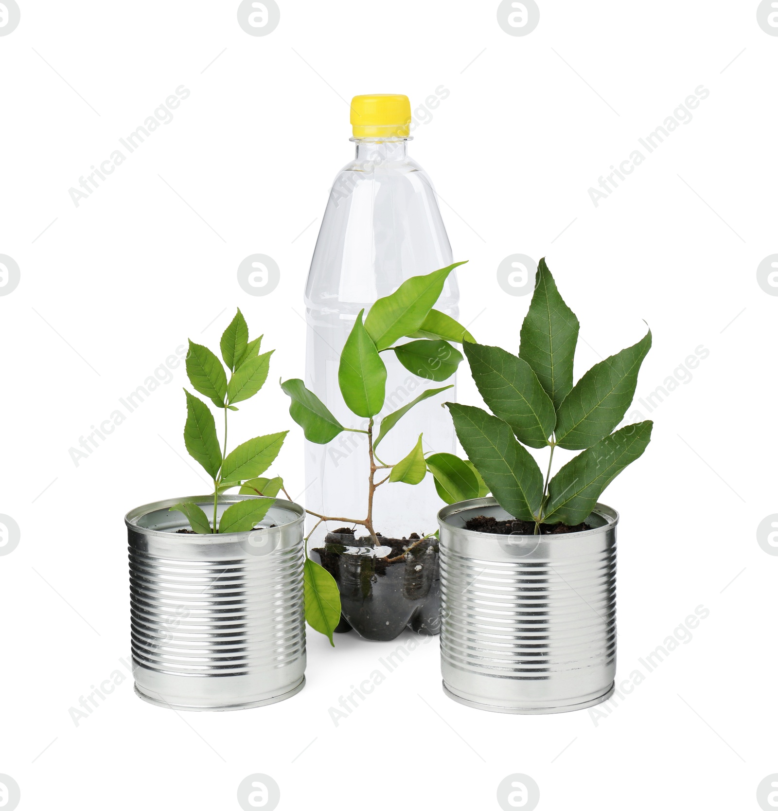 Photo of Recycling concept. Plastic bottle and cans with plants isolated on white