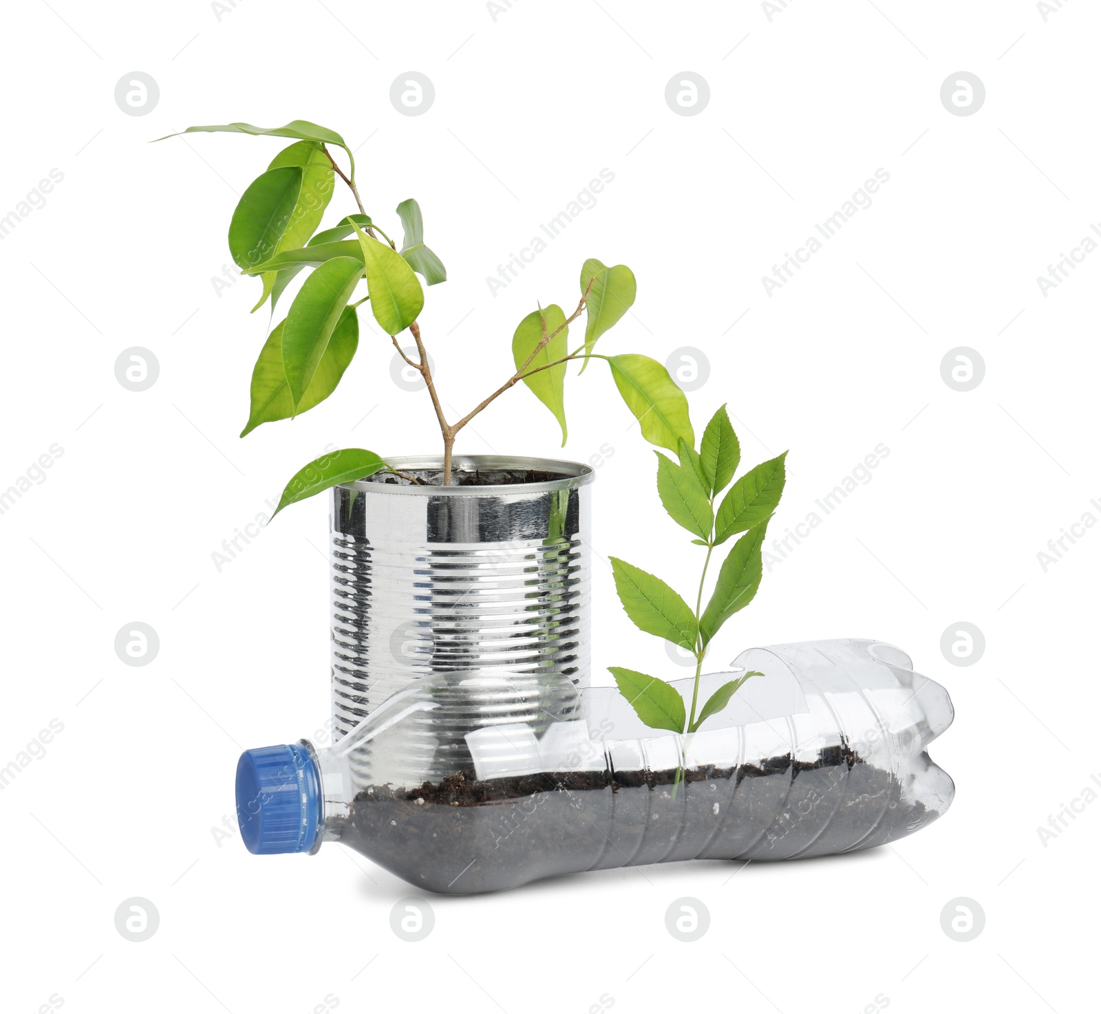 Photo of Recycling concept. Plastic bottle and can with plants isolated on white