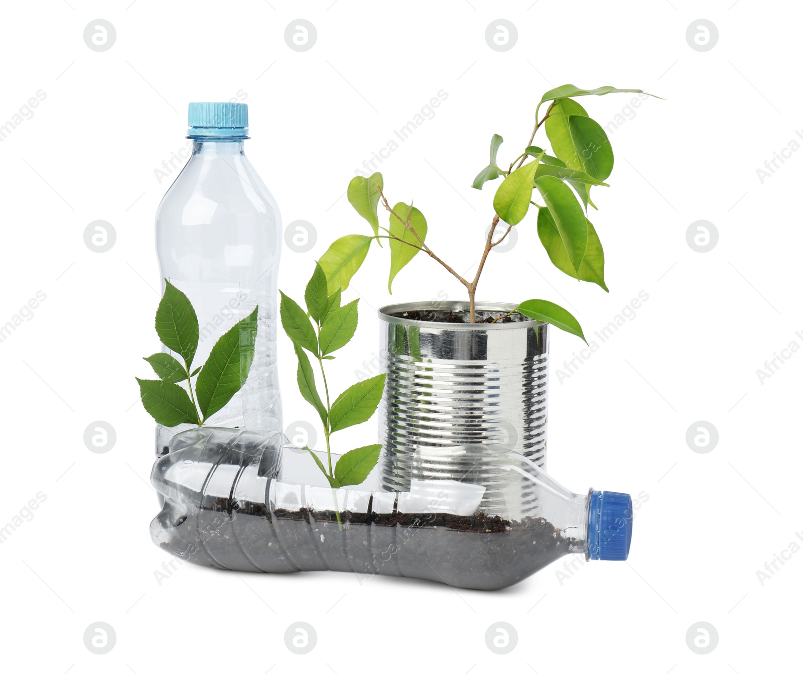 Photo of Recycling concept. Plastic bottles and can with plants isolated on white