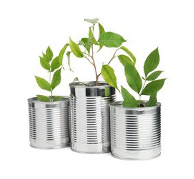 Photo of Recycling concept. Cans with plants isolated on white