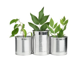 Photo of Recycling concept. Cans with plants isolated on white