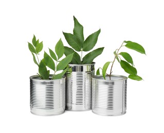 Photo of Recycling concept. Cans with plants isolated on white