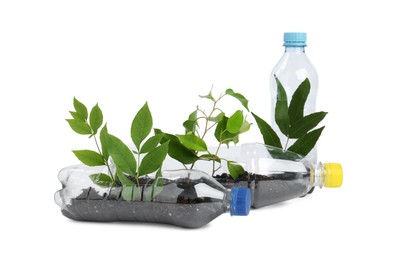 Photo of Recycling concept. Plastic bottles with plants isolated on white