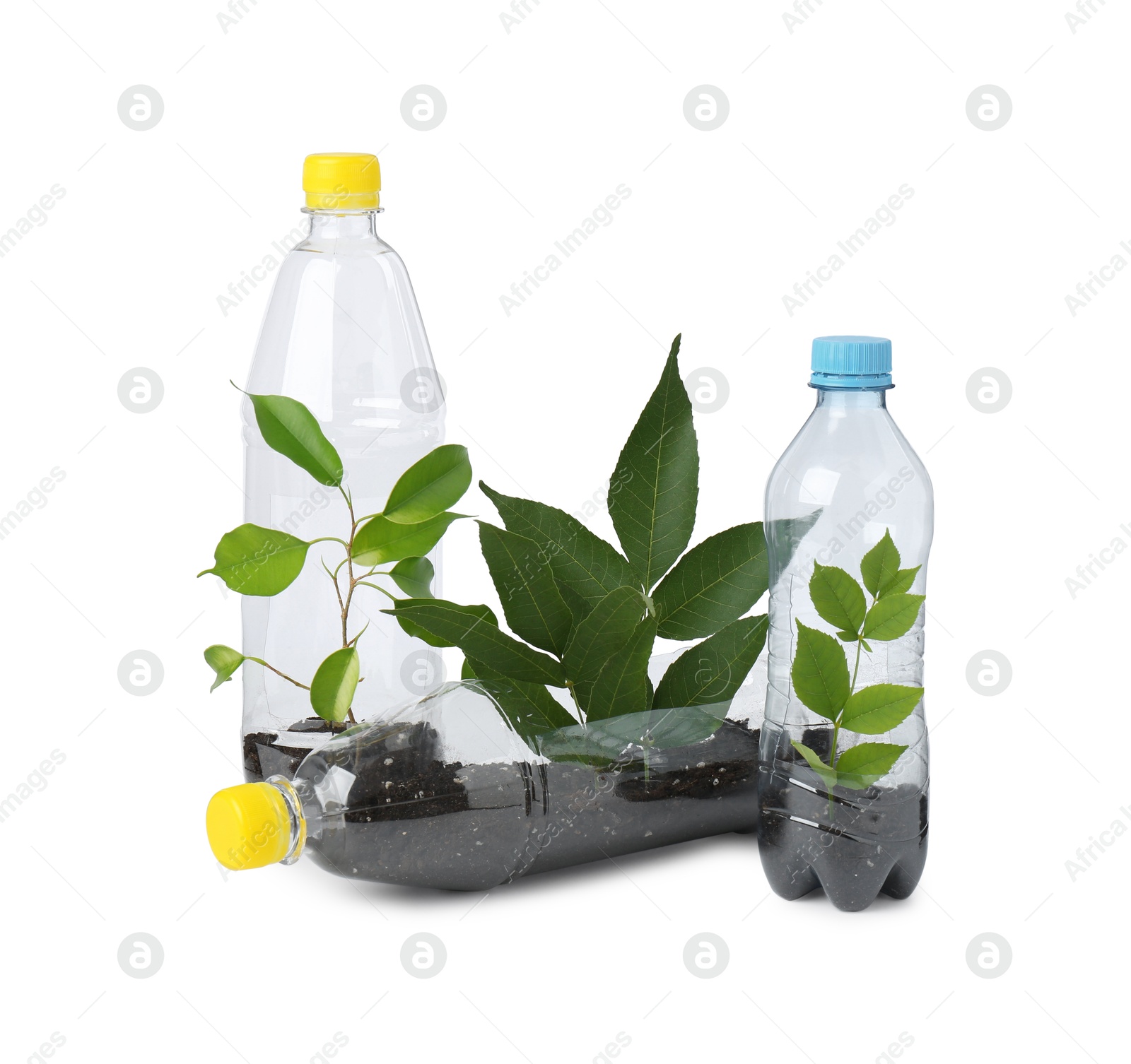 Photo of Recycling concept. Plastic bottles with plants isolated on white