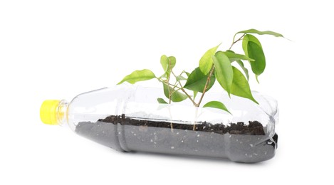 Photo of Recycling concept. Plastic bottle with plant isolated on white