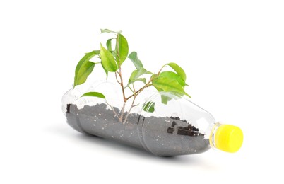 Photo of Recycling concept. Plastic bottle with plant isolated on white