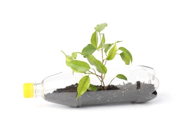 Photo of Recycling concept. Plastic bottle with plant isolated on white