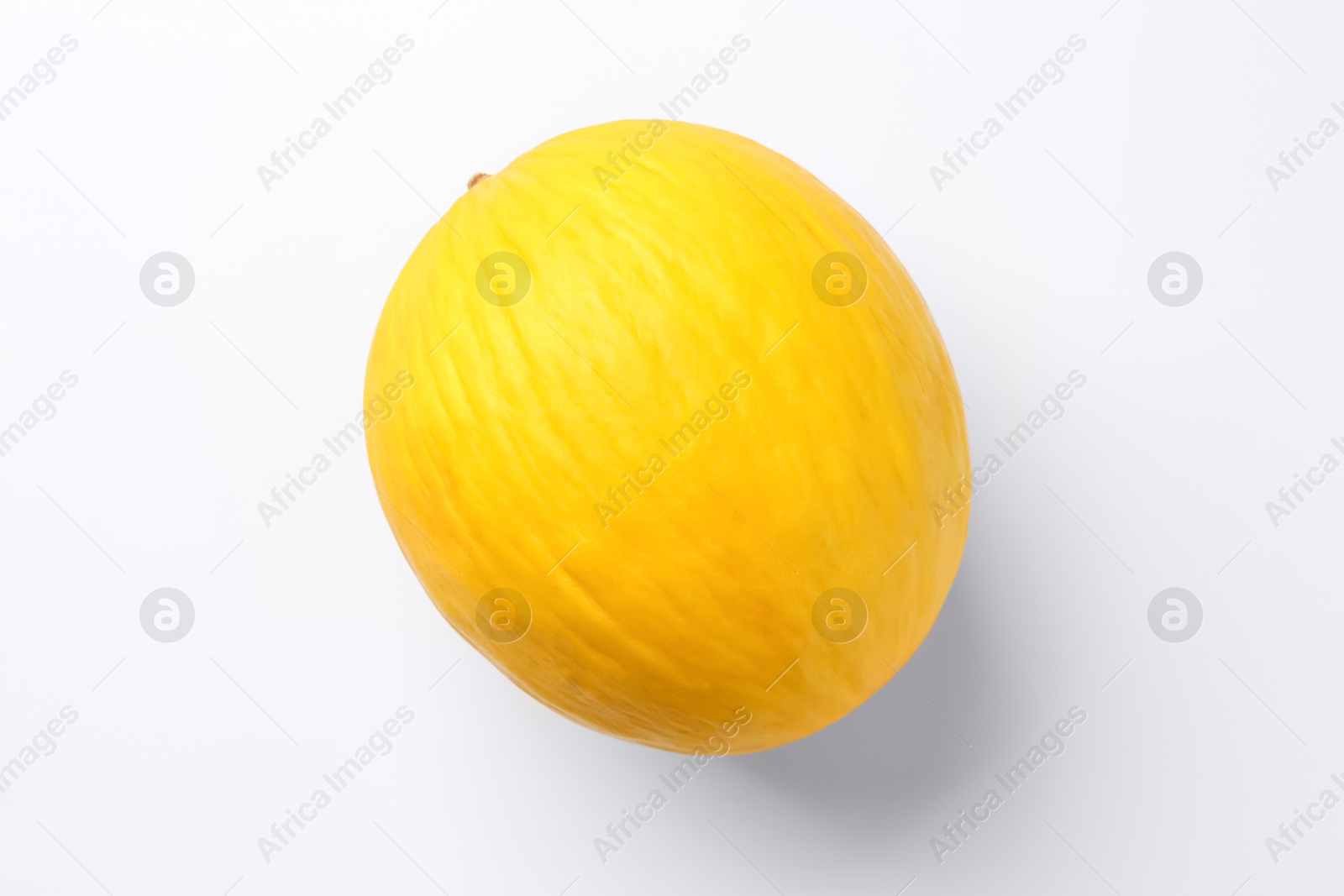 Photo of One fresh melon on white background, top view