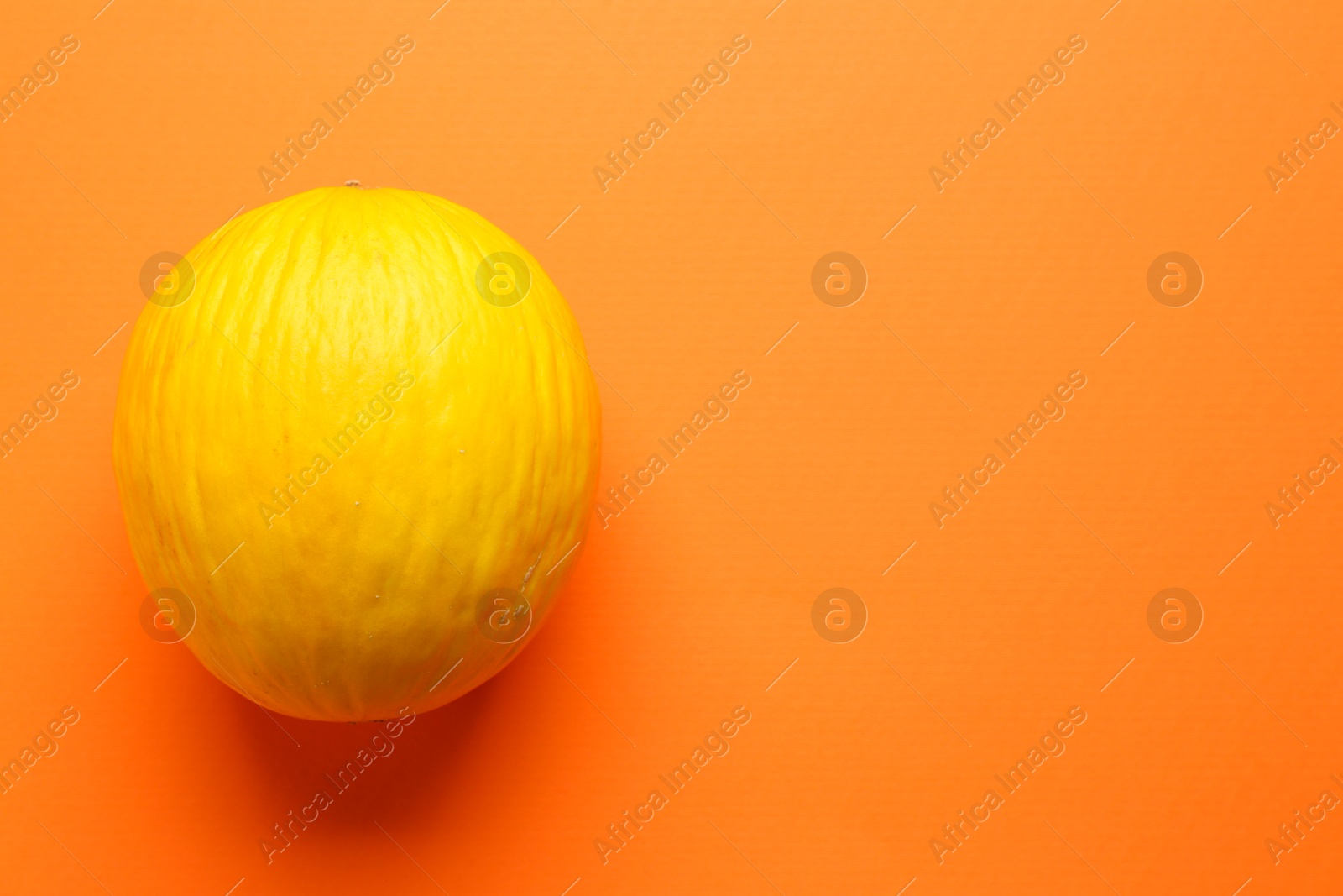 Photo of One fresh melon on orange background, top view. Space for text