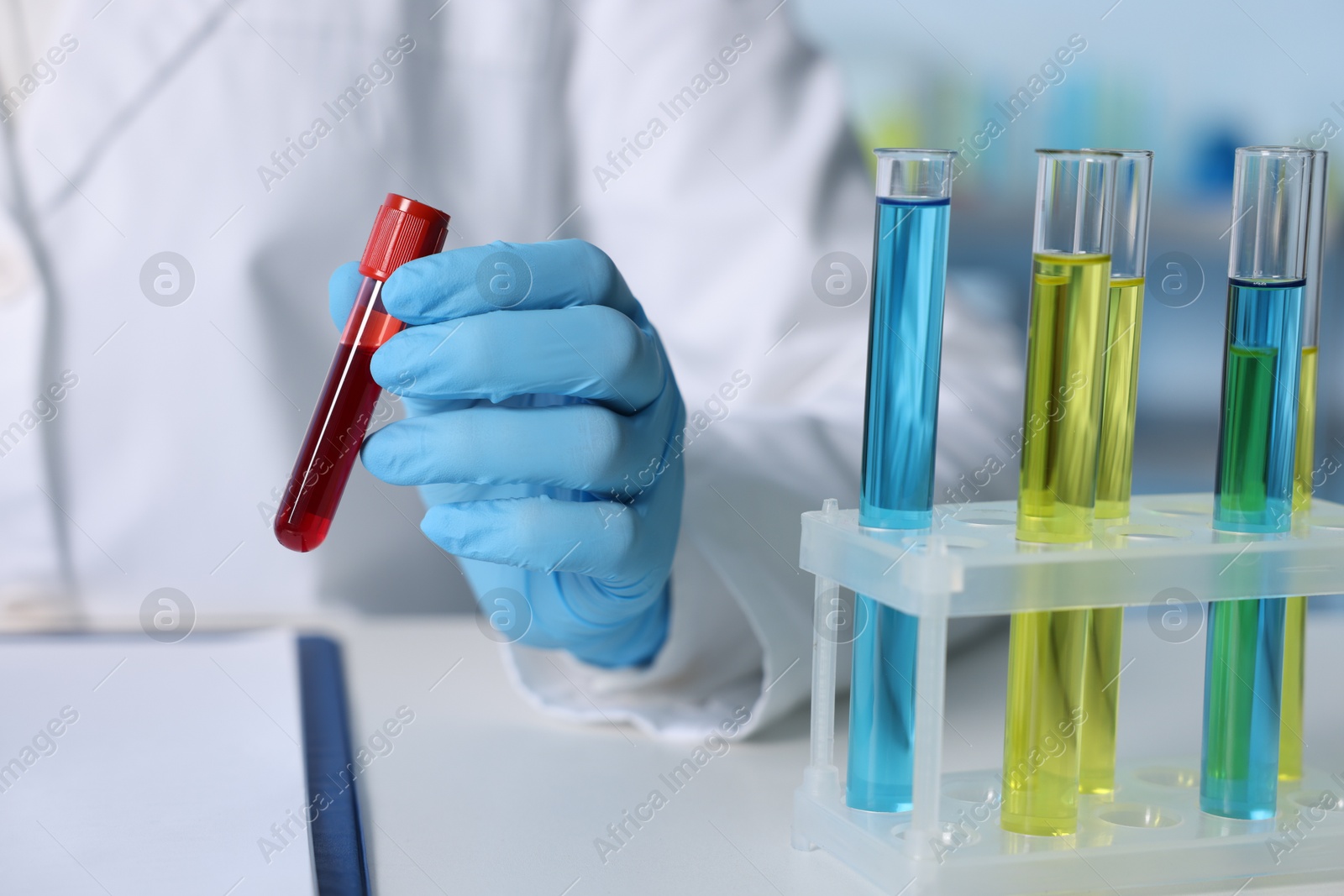 Photo of Laboratory testing. Doctor holding test tube with blood sample at table indoors, closeup