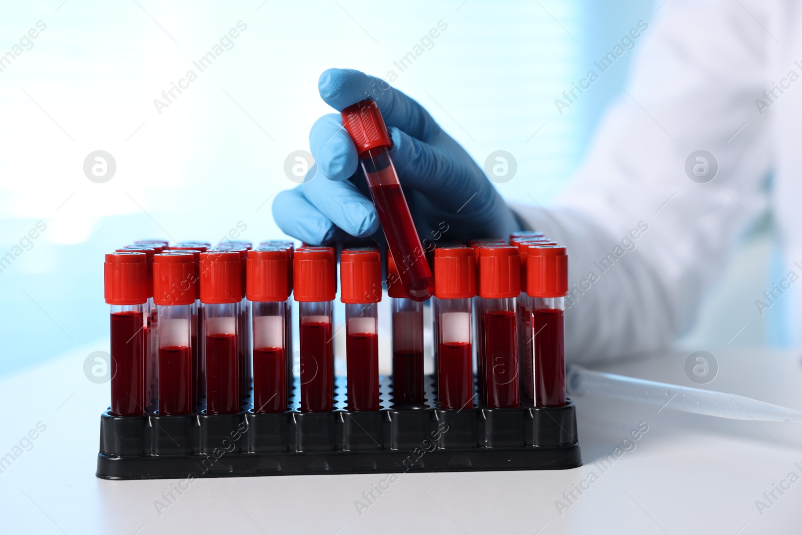 Photo of Laboratory testing. Doctor taking test tube with blood sample from rack at table indoors, closeup