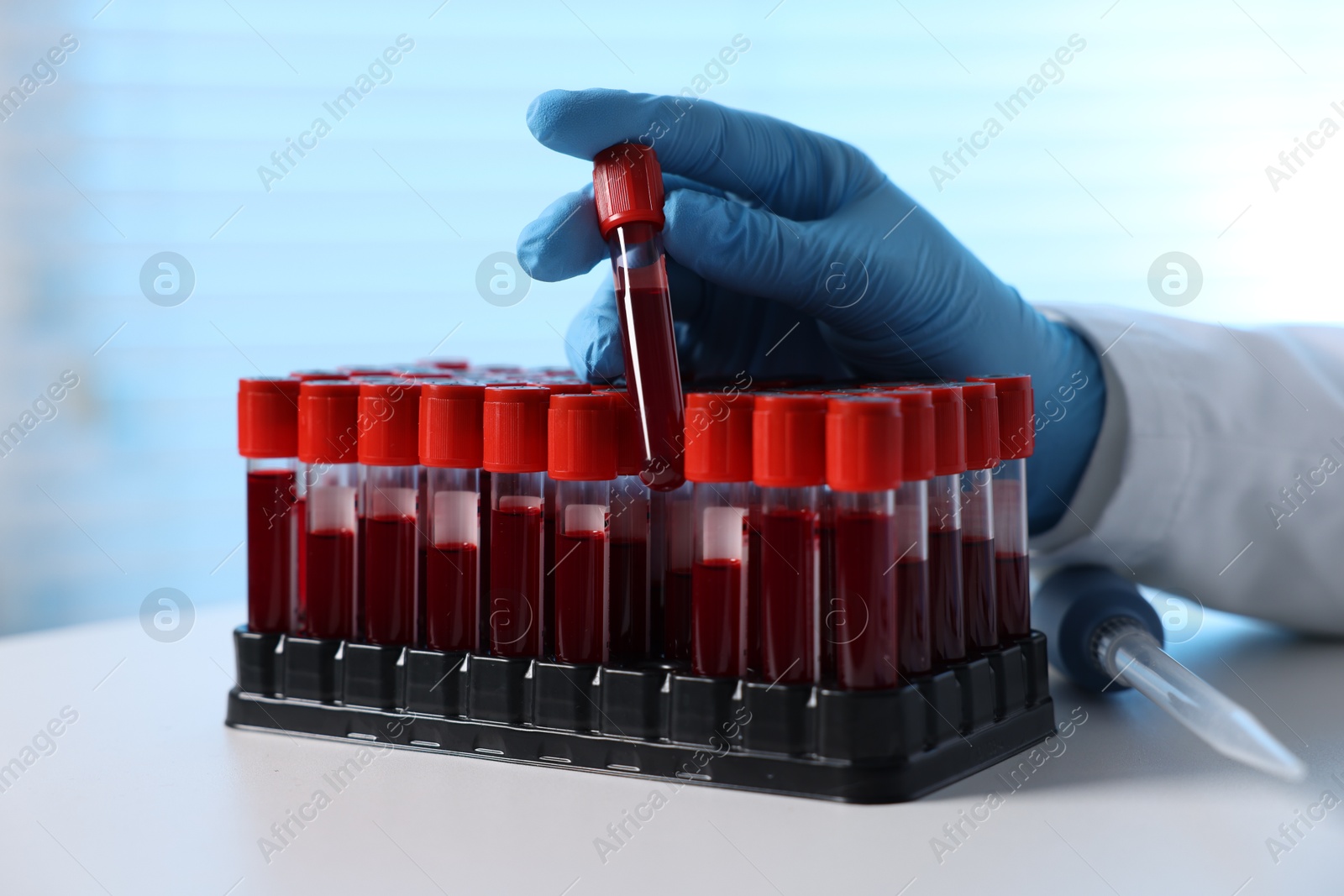 Photo of Laboratory testing. Doctor taking test tube with blood sample from rack at table indoors, closeup