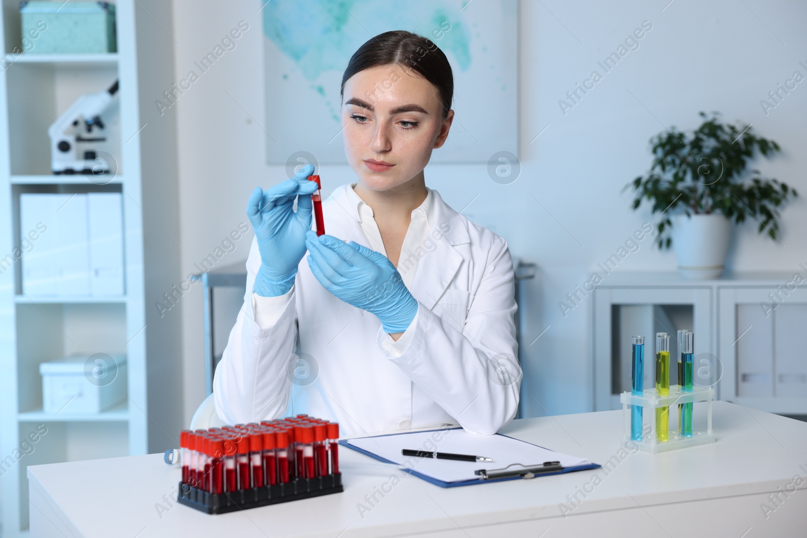 Photo of Laboratory testing. Doctor holding test tube with blood sample at table indoors