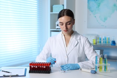 Photo of Laboratory testing. Doctor dripping blood sample into Petri dish at table indoors