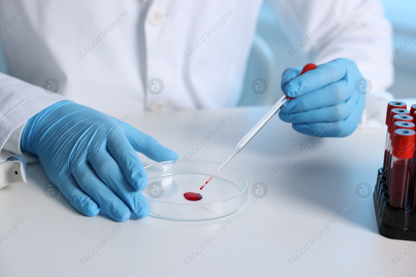 Photo of Laboratory testing. Doctor dripping blood sample into Petri dish at table indoors, closeup