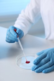 Laboratory testing. Doctor dripping blood sample into Petri dish at table indoors, closeup